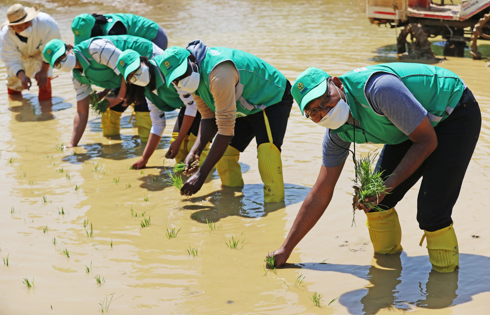 May 2021 Rice seed planting event